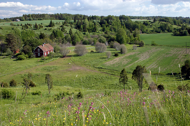 Askalan perinnemaisema, Paimio