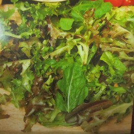 Salaatti 'Baby Leaf Lettuce' - mix