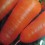 Porkkana 'Chantenay Red Cored 2' / 'Lontoon Tori'