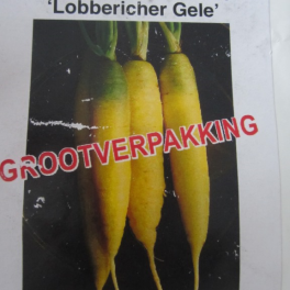 Porkkana 'Lobbericher Yellow' / 'Lobberieher Gele'