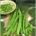 Papu, ruusupapu 'Emergo'