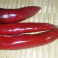 Paprika, chili 'Plamen' (Heirloom)
