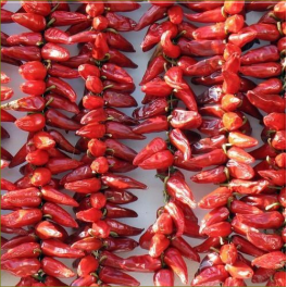 Paprika, chili 'Espelette' (chilipaprika)