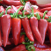 Paprika, chili 'Espelette'