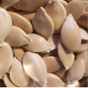 Kurpitsa, talvikurpitsa "Talvimakea"