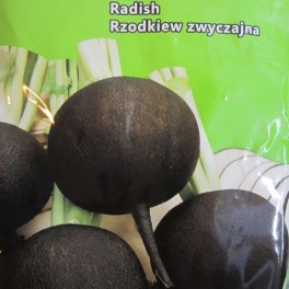 Retikka, talviretikka 'Black Spanish Round' / "Musta Py&ouml;re&auml;"'