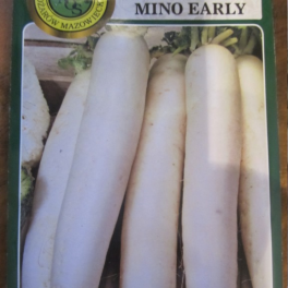 Japaninretikka/Daikon 'Mino Early'