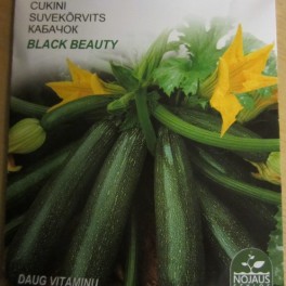 Kurpitsa, kesäkurpitsa ’Black Beauty’ (Luomu)