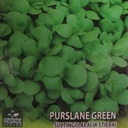 Vihannesportulakka 'Common Green'