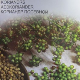 Korianteri
