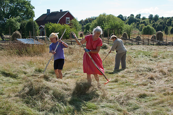 Askalan talkoot 2010