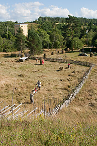Askalan riukuaitoja