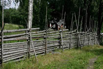 Riukuaita