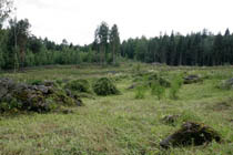 Lammaslaidun