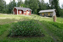 Pihapiiri