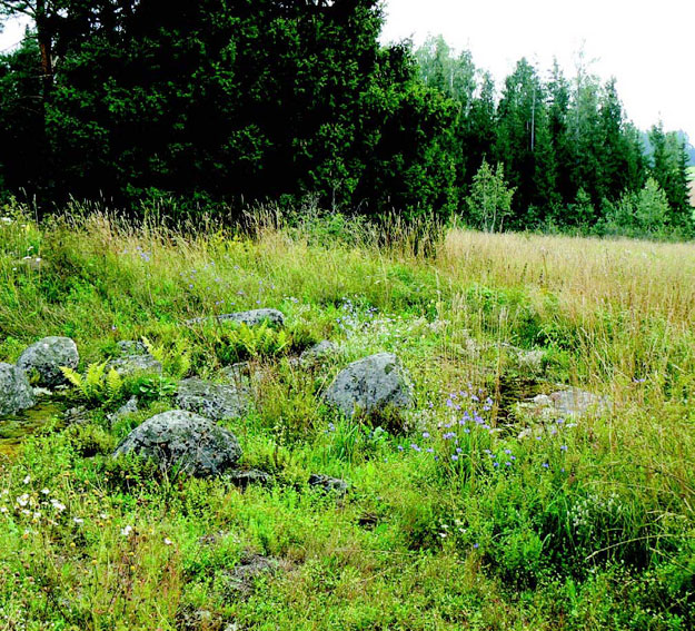 Hermalan koilliskulman pieni kallioketo 