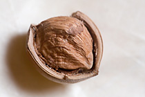 Pähkinä